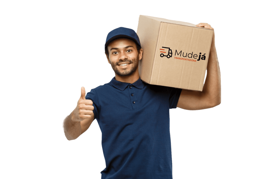 empresa de mudança em goiania